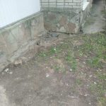 зображення_viber_2023-03-31_14-00-48-481